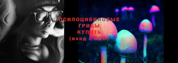 бошки Балахна