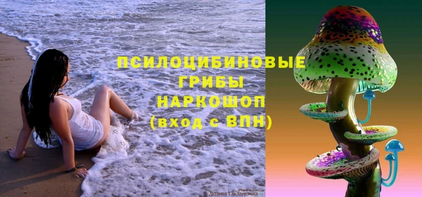 ПСИЛОЦИБИНОВЫЕ ГРИБЫ Балабаново