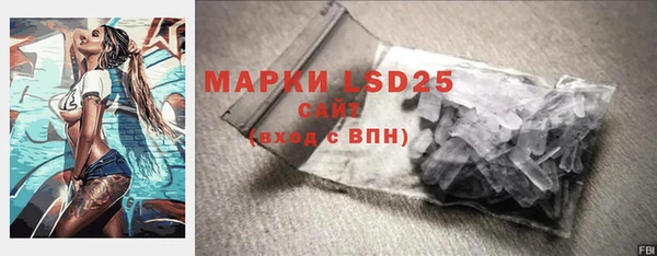 ПСИЛОЦИБИНОВЫЕ ГРИБЫ Балабаново