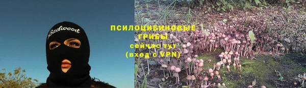 ПСИЛОЦИБИНОВЫЕ ГРИБЫ Балабаново